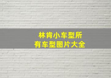 林肯小车型所有车型图片大全