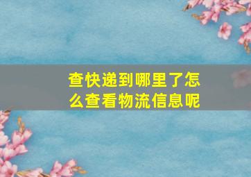 查快递到哪里了怎么查看物流信息呢