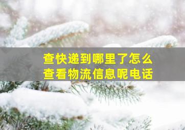 查快递到哪里了怎么查看物流信息呢电话