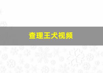 查理王犬视频