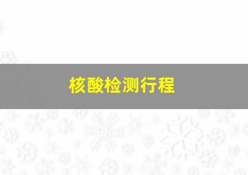 核酸检测行程