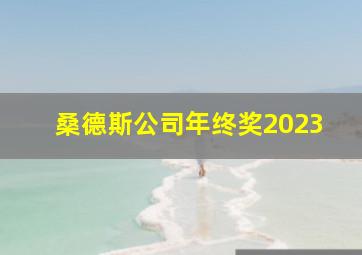 桑德斯公司年终奖2023