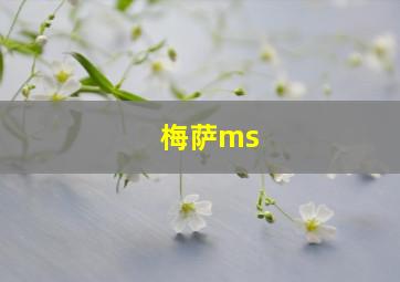 梅萨ms