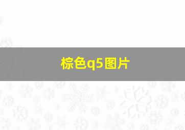 棕色q5图片