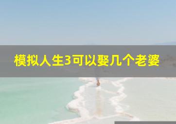 模拟人生3可以娶几个老婆