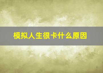 模拟人生很卡什么原因