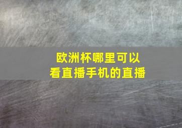 欧洲杯哪里可以看直播手机的直播