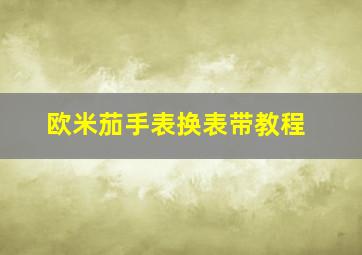 欧米茄手表换表带教程