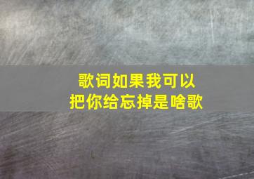 歌词如果我可以把你给忘掉是啥歌