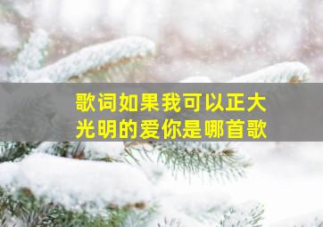 歌词如果我可以正大光明的爱你是哪首歌