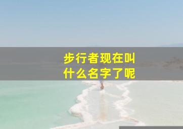 步行者现在叫什么名字了呢