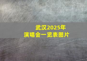 武汉2025年演唱会一览表图片