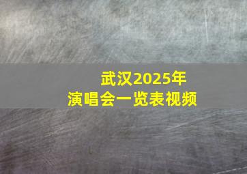 武汉2025年演唱会一览表视频