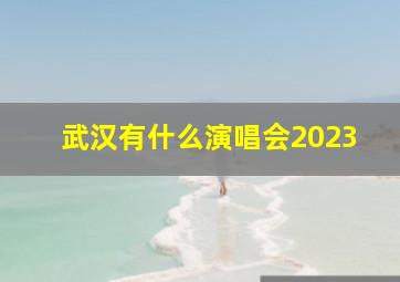 武汉有什么演唱会2023