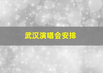 武汉演唱会安排