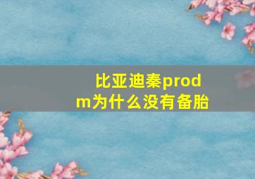 比亚迪秦prodm为什么没有备胎