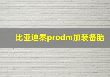 比亚迪秦prodm加装备胎