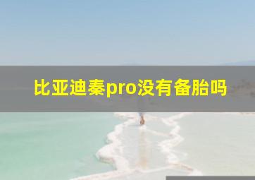 比亚迪秦pro没有备胎吗