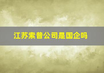 江苏索普公司是国企吗