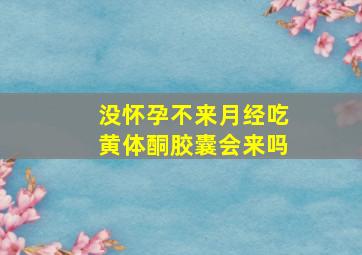 没怀孕不来月经吃黄体酮胶囊会来吗