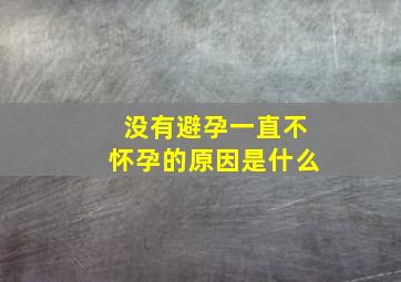 没有避孕一直不怀孕的原因是什么