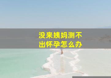 没来姨妈测不出怀孕怎么办