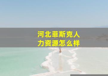 河北菲斯克人力资源怎么样