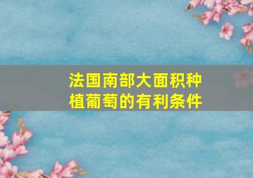 法国南部大面积种植葡萄的有利条件