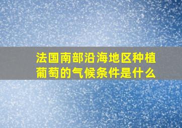 法国南部沿海地区种植葡萄的气候条件是什么