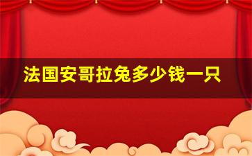 法国安哥拉兔多少钱一只