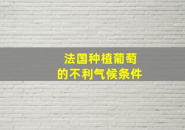 法国种植葡萄的不利气候条件