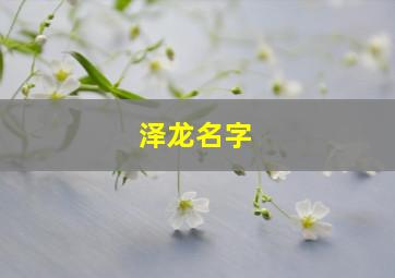 泽龙名字