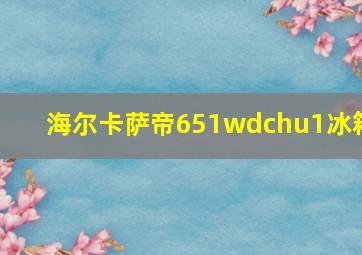 海尔卡萨帝651wdchu1冰箱