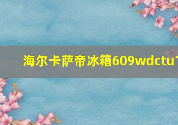 海尔卡萨帝冰箱609wdctu1