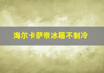 海尔卡萨帝冰箱不制冷