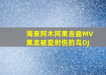 海来阿木阿果吉曲MV黑龙被爱射伤的鸟DJ