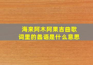 海来阿木阿果吉曲歌词里的蠡语是什么意思