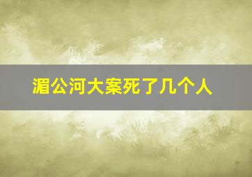 湄公河大案死了几个人