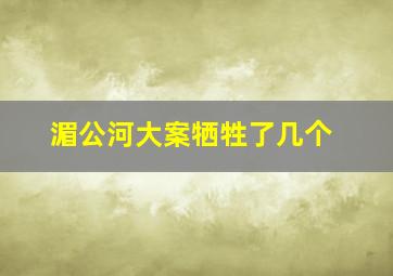 湄公河大案牺牲了几个