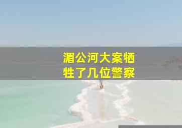 湄公河大案牺牲了几位警察