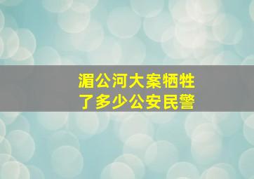 湄公河大案牺牲了多少公安民警