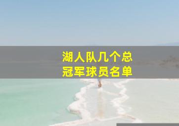 湖人队几个总冠军球员名单