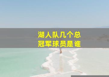 湖人队几个总冠军球员是谁