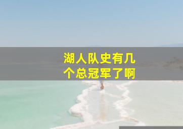 湖人队史有几个总冠军了啊