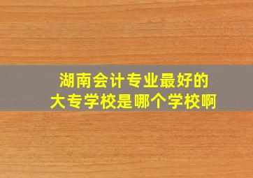 湖南会计专业最好的大专学校是哪个学校啊