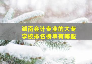 湖南会计专业的大专学校排名榜单有哪些