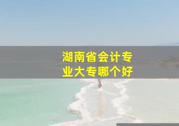 湖南省会计专业大专哪个好