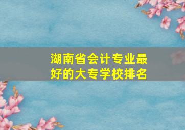 湖南省会计专业最好的大专学校排名