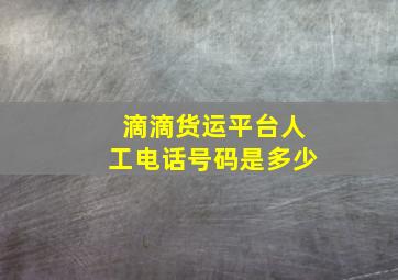 滴滴货运平台人工电话号码是多少