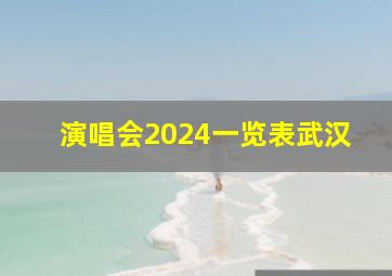 演唱会2024一览表武汉